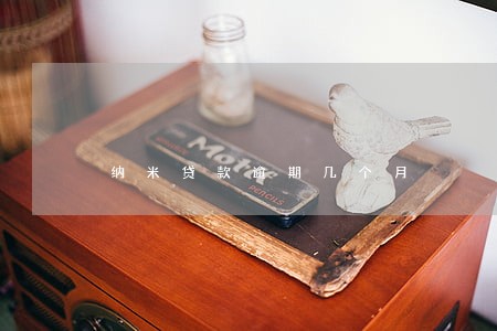 纳米贷款逾期几个月 纳米贷款逾期几个月