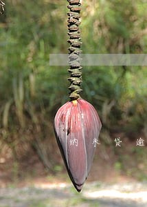 纳米贷逾期一天打电话 纳米贷逾期一天打电话