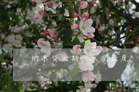 纳米贷逾期一天没额度 纳米贷逾期一天没额度
