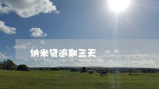 纳米贷逾期三天 纳米贷逾期三天