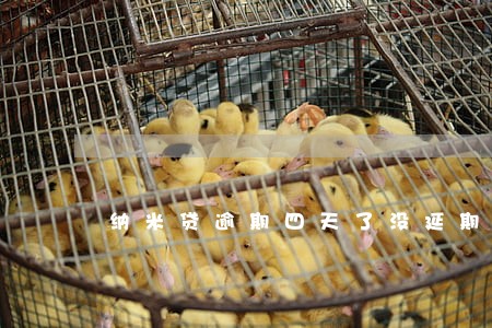 纳米贷逾期四天了没延期 纳米贷逾期四天了没延期