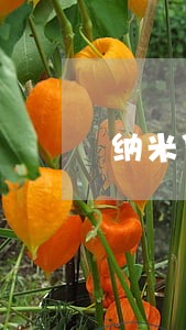 纳米贷逾期投诉催收员