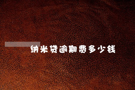 纳米贷逾期费多少钱 纳米贷逾期费多少钱