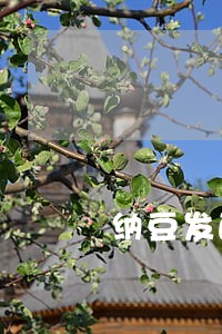 纳豆发酵菌违法广告遭查处的评论 纳豆发酵菌违法广告遭查处的评论