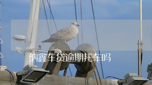纳鑫车贷逾期托车吗 纳鑫车贷逾期托车吗