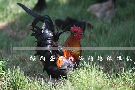 纵向垄断协议的违法性认定探析