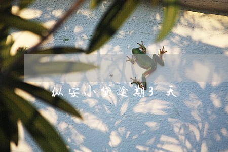 纵安小贷逾期3天 纵安小贷逾期3天