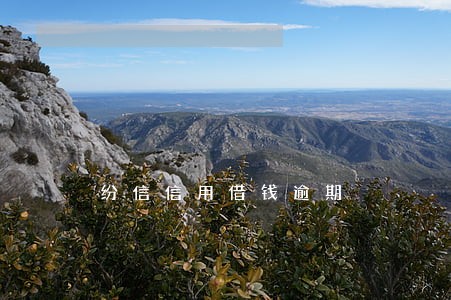 纷信信用借钱逾期 纷信信用借钱逾期