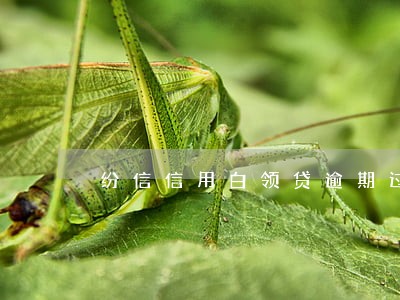 纷信信用白领贷逾期过一天 纷信信用白领贷逾期过一天