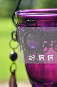 纷信信用能逾期多少天