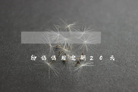 纷信信用逾期20天