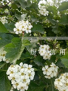 纷信信用逾期一天多少钱 纷信信用逾期一天多少钱