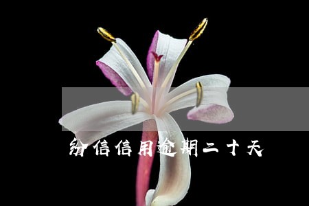 纷信信用逾期二十天