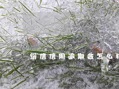 纷信信用逾期会怎么样
