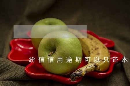 纷信信用逾期可以只还本金吗 纷信信用逾期可以只还本金吗