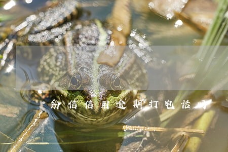 纷信信用逾期打电话吗 纷信信用逾期打电话吗