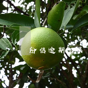 纷信逾期后果 纷信逾期后果