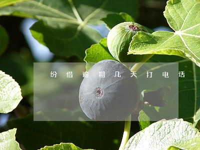 纷借逾期几天打电话 纷借逾期几天打电话
