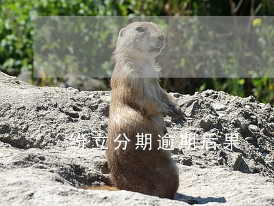 纷立分期逾期后果 纷立分期逾期后果