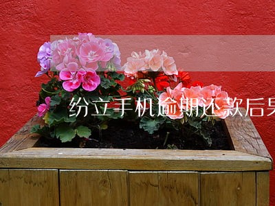 纷立手机逾期还款后果 纷立手机逾期还款后果