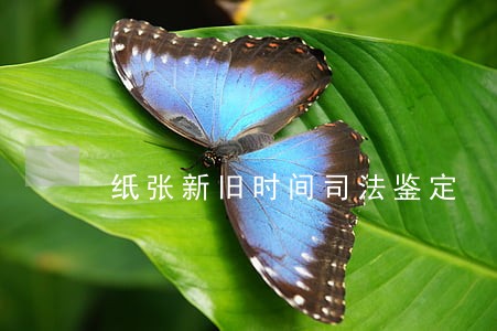 纸张新旧时间司法鉴定 纸张新旧时间司法鉴定