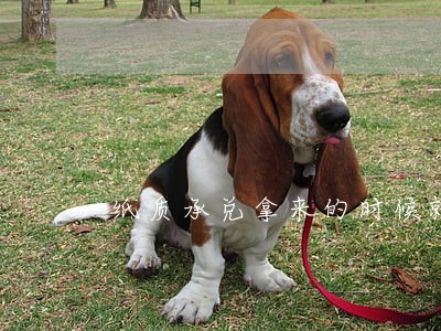 纸质承兑拿来的时候就逾期证明 纸质承兑拿来的时候就逾期证明