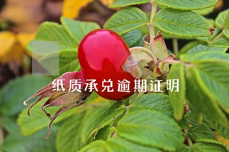 纸质承兑逾期证明 纸质承兑逾期证明