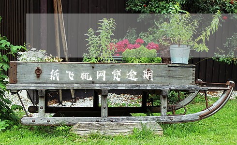 纸飞机网贷逾期 纸飞机网贷逾期