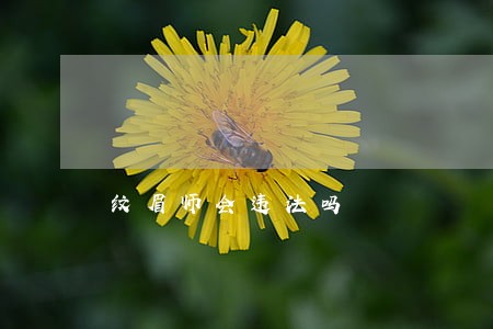 纹眉师会违法吗 纹眉师会违法吗