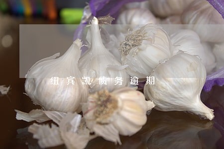 纽宾凯债务逾期 纽宾凯债务逾期