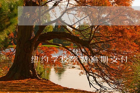 纽约学校学费逾期支付 纽约学校学费逾期支付