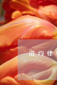 纽约律师证