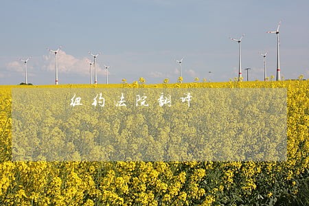 纽约法院翻译