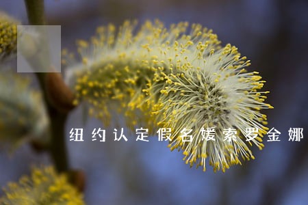 纽约认定假名媛索罗金娜有罪