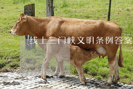 线上三门峡文明条例答案