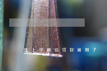 线上中腾信贷款逾期了 线上中腾信贷款逾期了