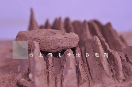 线上信用卡还款逾期 线上信用卡还款逾期