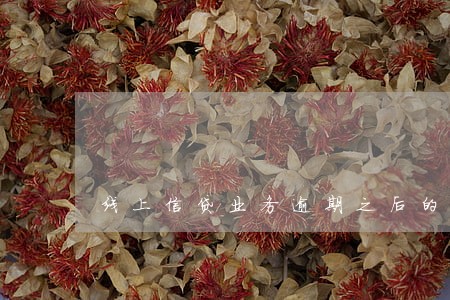 线上信贷业务逾期之后的责任认定 线上信贷业务逾期之后的责任认定