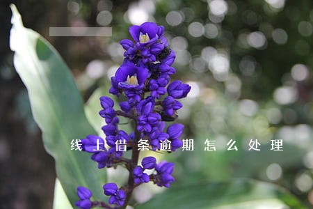 线上借条逾期怎么处理 线上借条逾期怎么处理