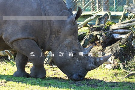 线上借款逾期后果 线上借款逾期后果