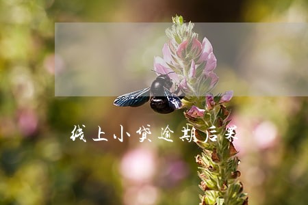 线上小贷逾期后果 线上小贷逾期后果