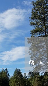 线上小贷逾期多久会上门 线上小贷逾期多久会上门