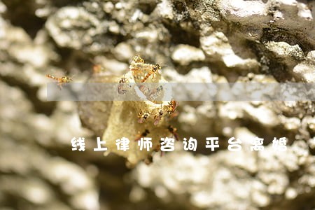 线上律师咨询平台离婚 线上律师咨询平台离婚