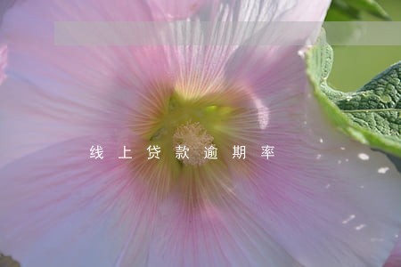 线上贷款逾期率 线上贷款逾期率