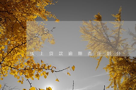 线上贷款逾期责任划分 线上贷款逾期责任划分