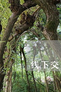 线下交易金币违法吗 线下交易金币违法吗