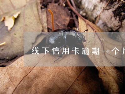 线下信用卡逾期一个月 线下信用卡逾期一个月