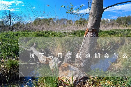 线下信用贷款逾期会怎么样 线下信用贷款逾期会怎么样