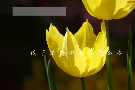 线下借贷逾期了怎么办 线下借贷逾期了怎么办