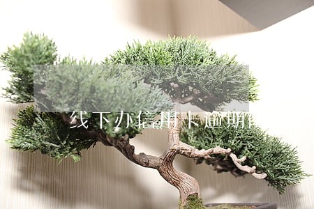 线下办信用卡逾期能办吗 线下办信用卡逾期能办吗